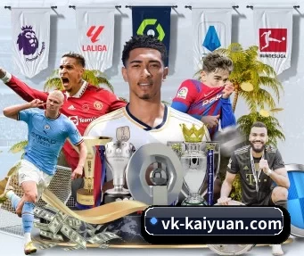 vk-kaiyuan.com APP